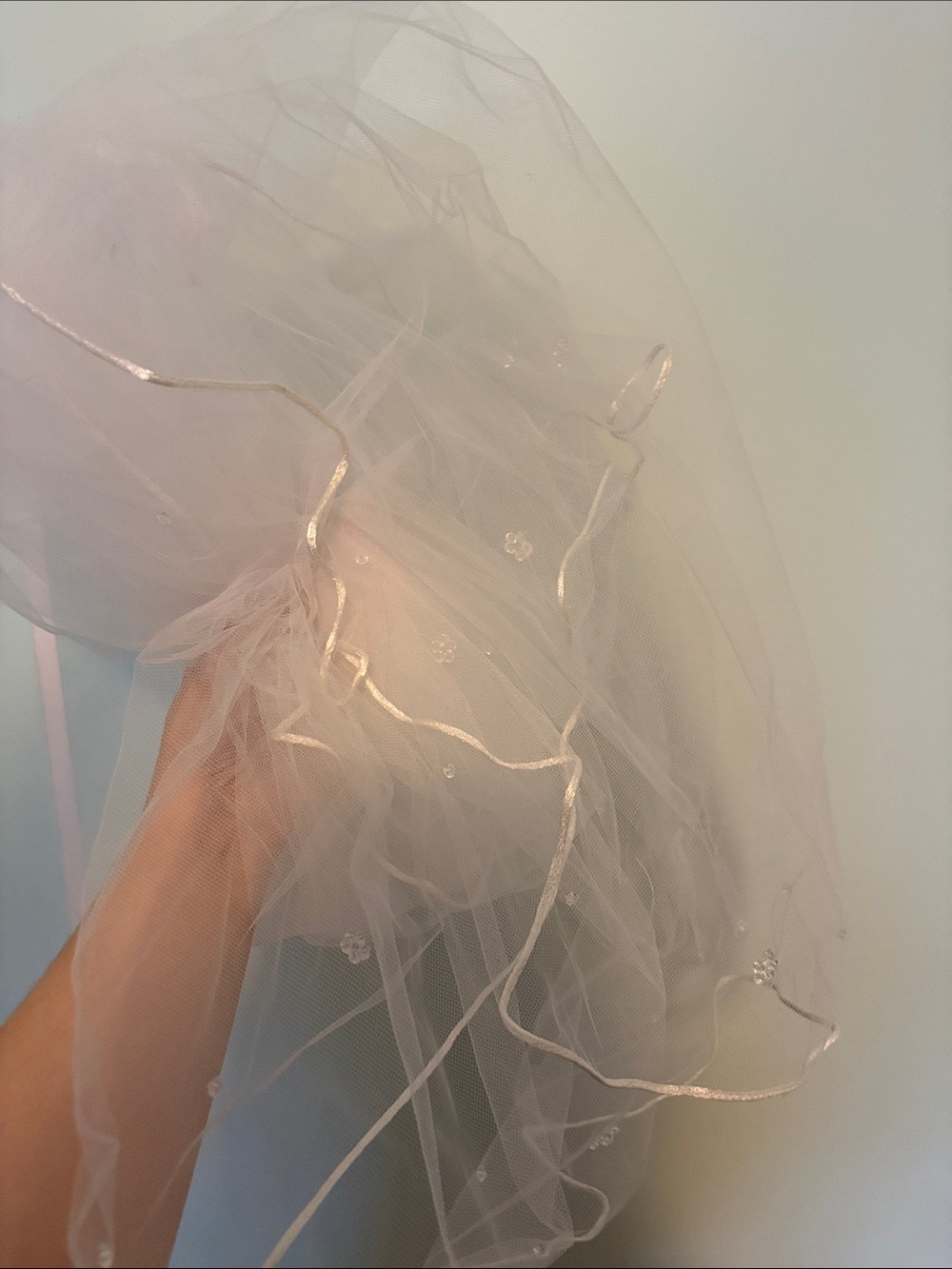 Tulle fabric with Beads and Edge Trim